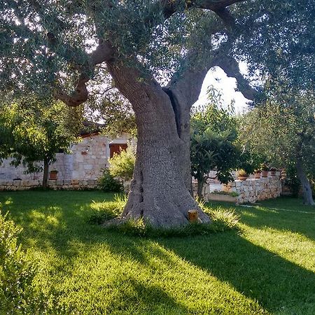 Il Giardino Degli Ulivi Bed & Breakfast Castellana Grotte Ngoại thất bức ảnh